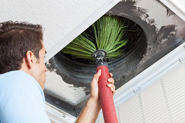 Best HVAC Duct Inspection Services  in Starbuck, MN